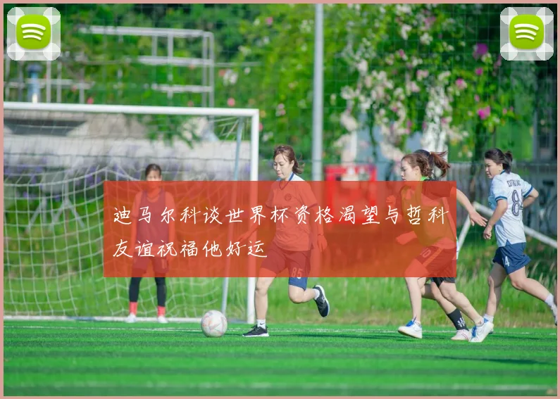 迪马尔科谈世界杯资格渴望与哲科友谊祝福他好运