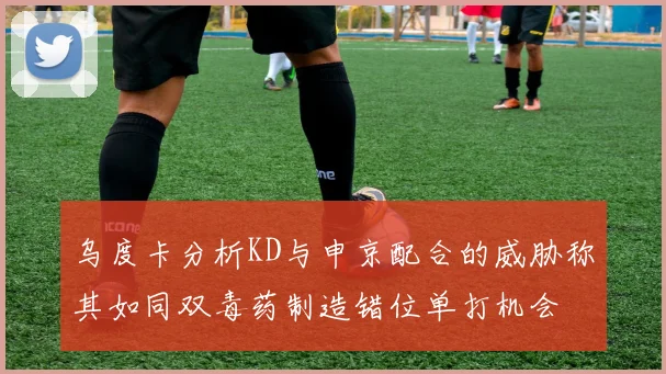 乌度卡分析KD与申京配合的威胁称其如同双毒药制造错位单打机会